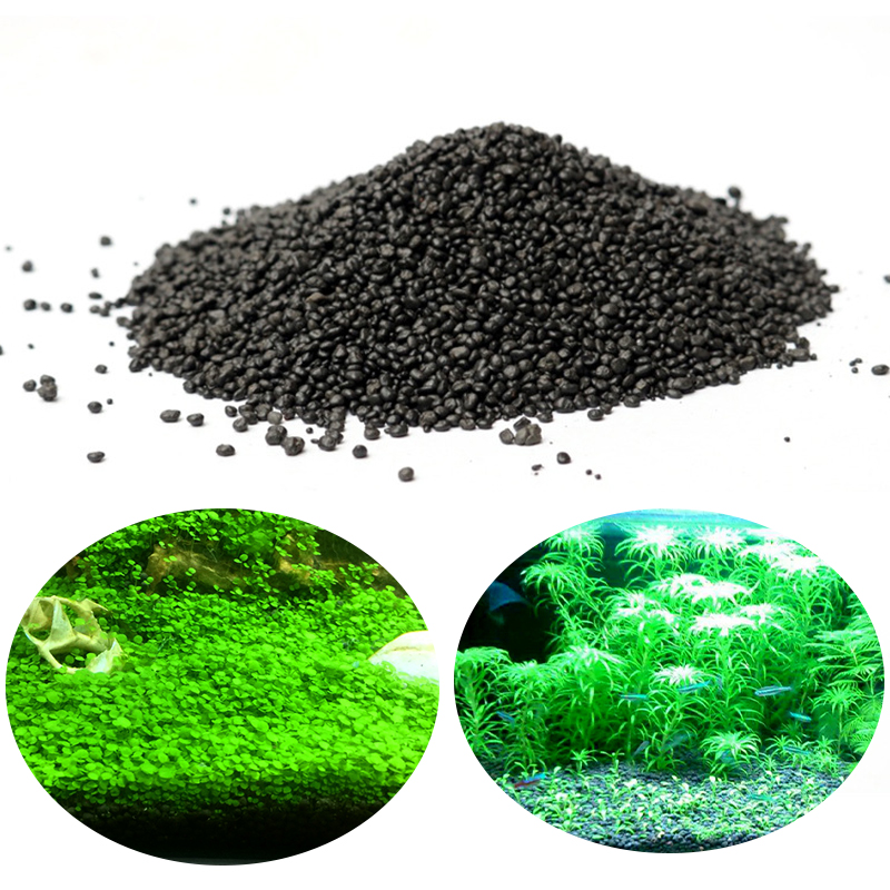 Aquarium Planted Seeds - Acquario acqua erba fango pianta seme
