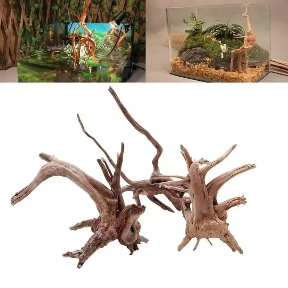 Aquarium Planted Substrate - Legno Naturale per Acquario 15-20CM -