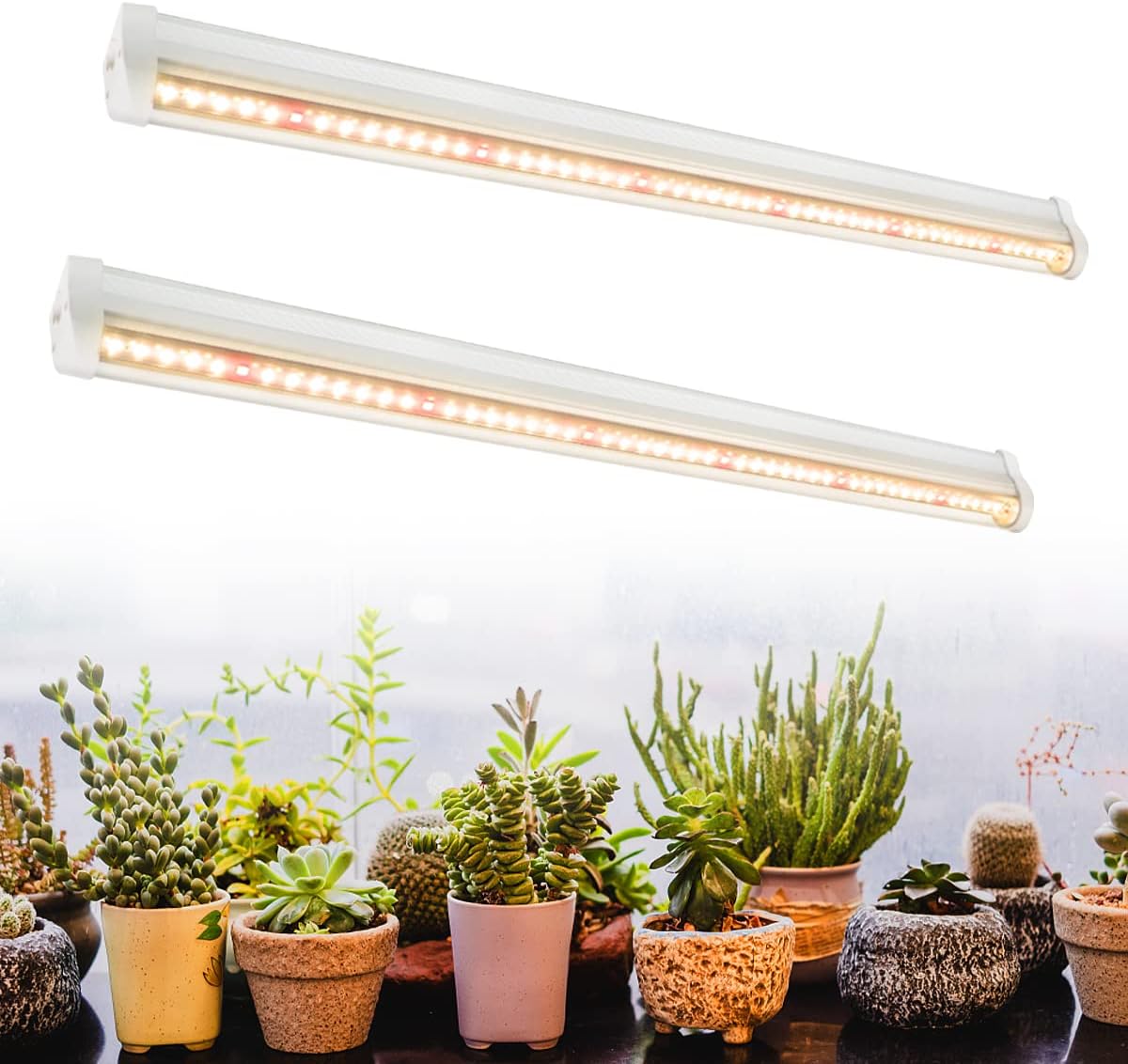 Aquarium Planted Seeds - Lampade per coltivazione a LED Pianta