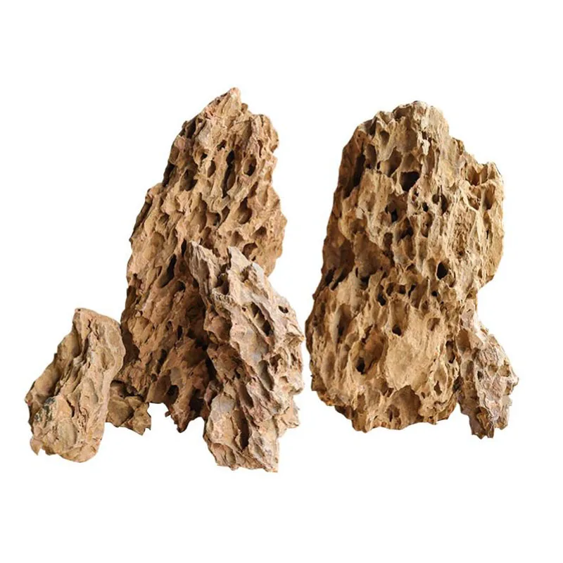 Aquarium Planted Seeds - 250g 500g 1000g Naturale Acquario Decor