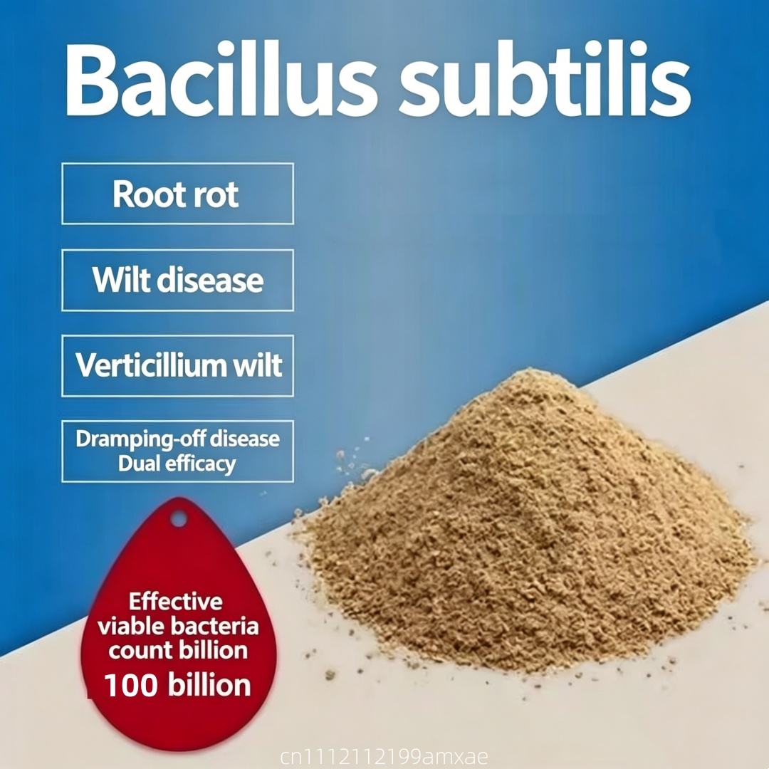 Aquarium Plant Fertilizer - Polvere di Bacillus Subtilis ad alta