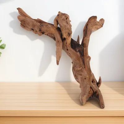 Aquarium Plant Root Tabs - Acquario Decorazione in legno morto 20-25