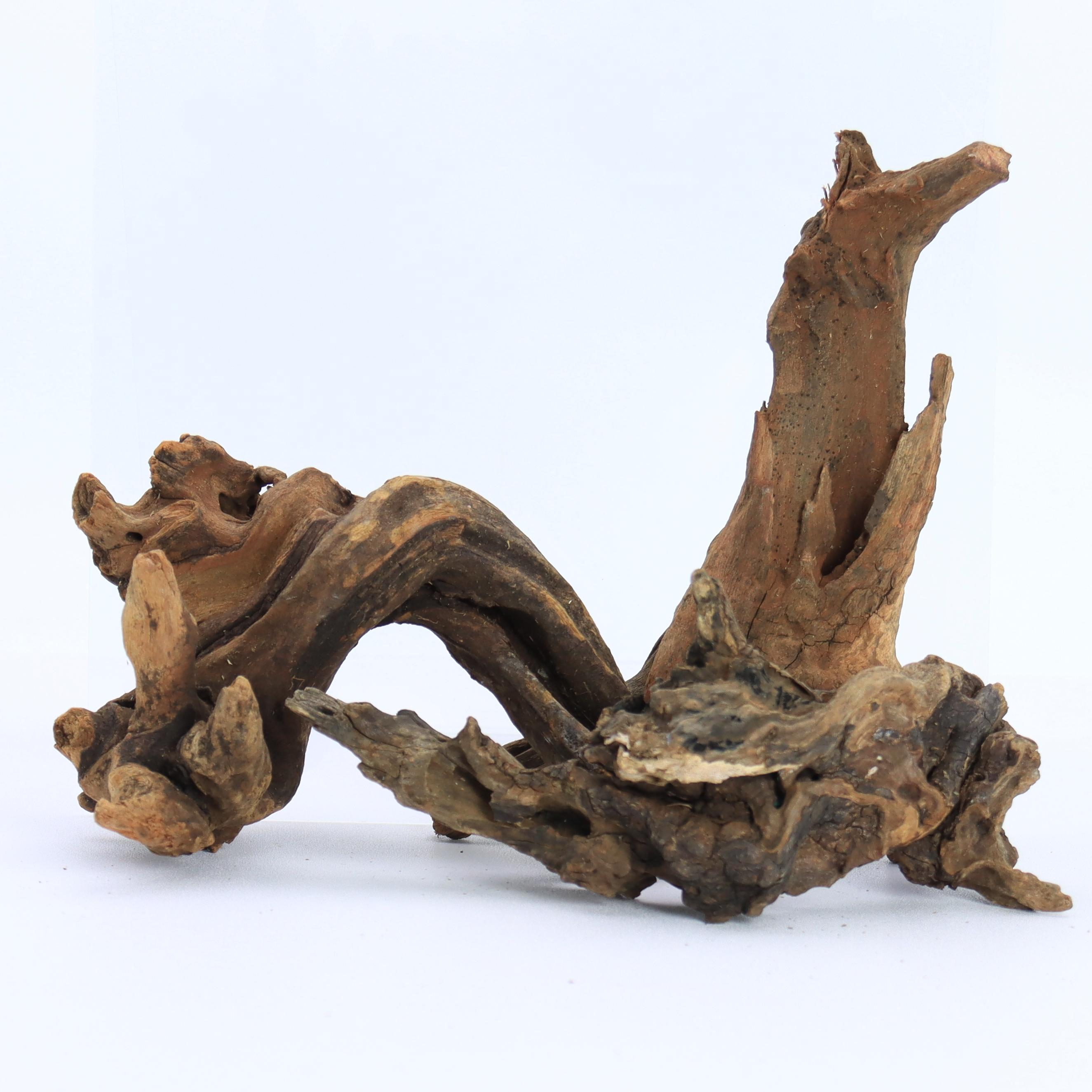 Aquarium Plant Root Tabs - 1 Pezzo di Legno Naturale Selezionato