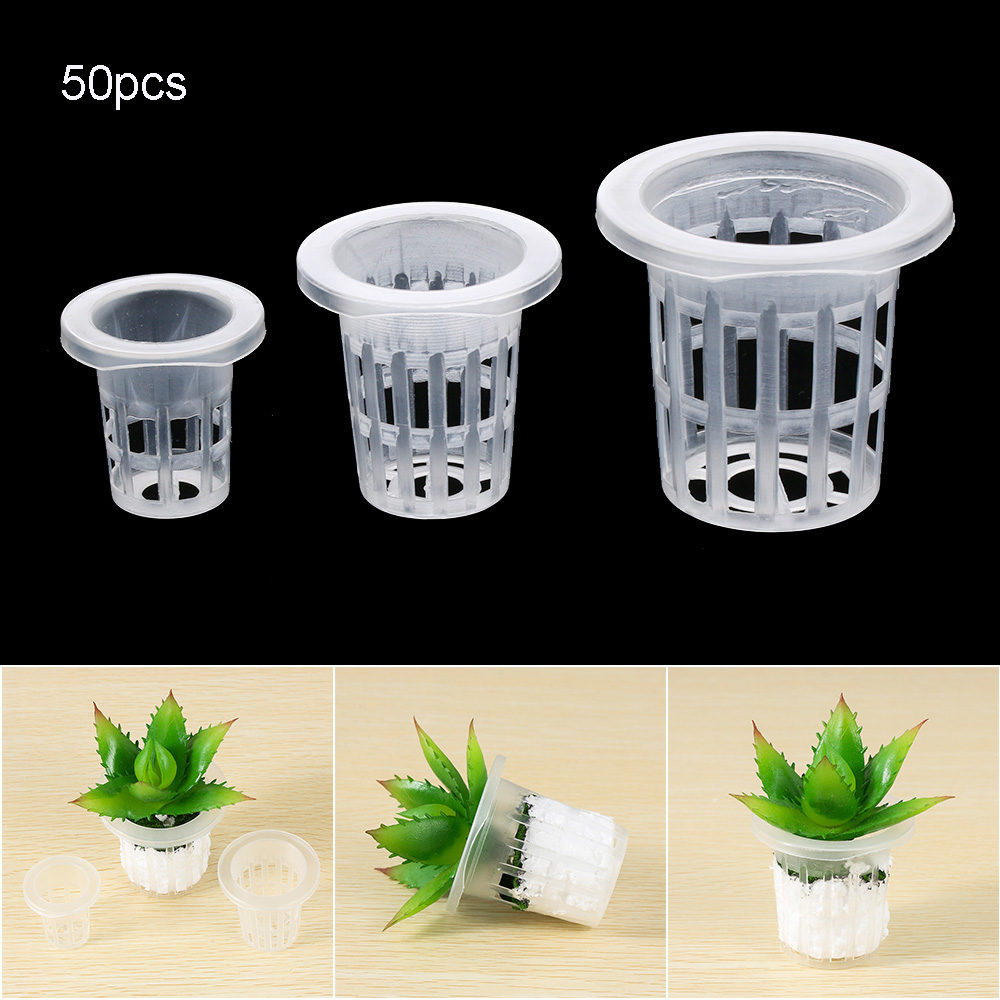 Aquarium Planted Seeds - 10/50pcs Forniture da giardino Acquario Piantare