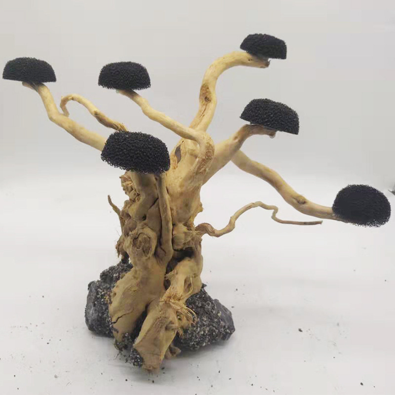 Aquarium Plant Root Tabs - Acquario Driftwood Decorazione paesaggistica Acquario Legno