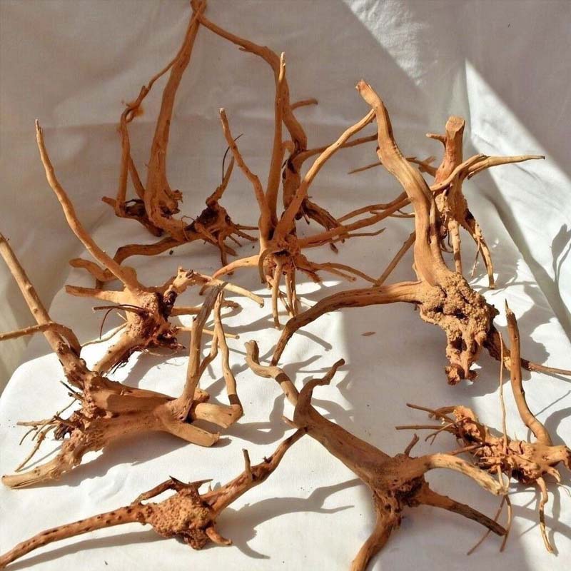 Aquarium Plant Root Tabs - 1 Pezzo di Legno Naturale per