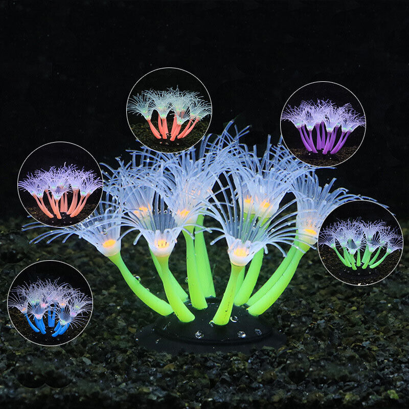 Decorazioni Subacquee in Silic - Aquarium Planted Substrate recensione e prezzo