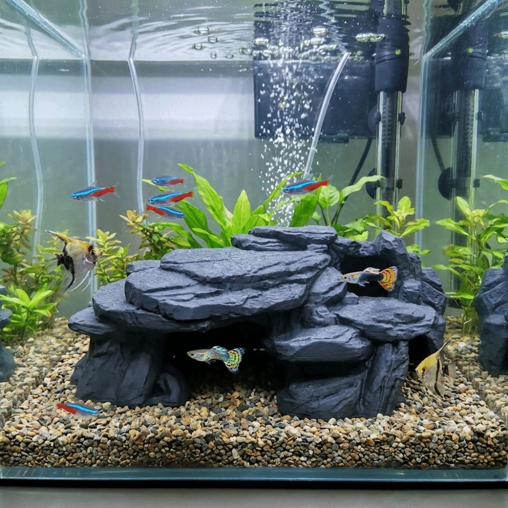 Ornamenti per Acquario Stampat - Aquarium Plant Root Tabs recensione e prezzo