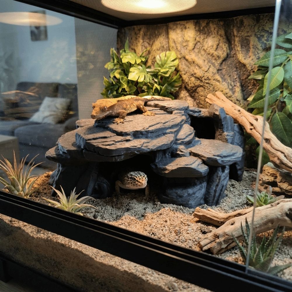 Ornamenti per Acquario Stampat - Aquarium Plant Root Tabs recensione e prezzo
