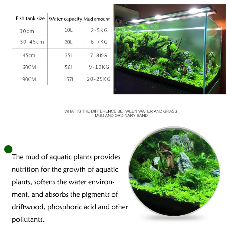 Acquario acqua erba fango pian - Aquarium Planted Seeds recensione e prezzo
