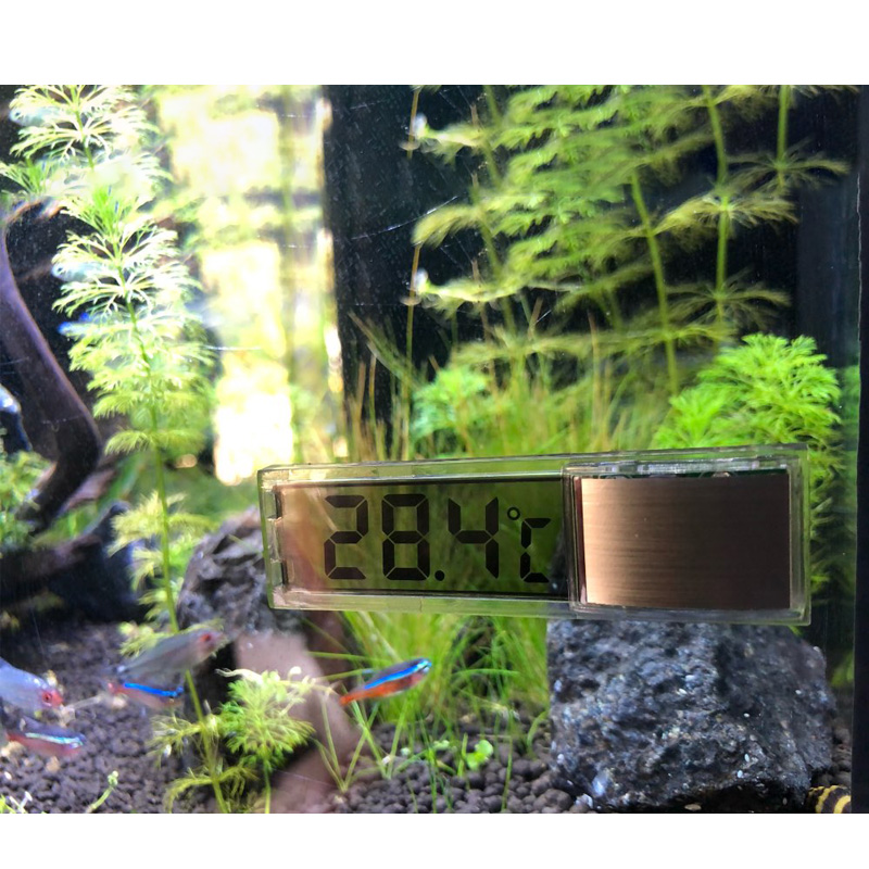 Termometro per acquario imperm - Aquarium Planted Seeds recensione e prezzo