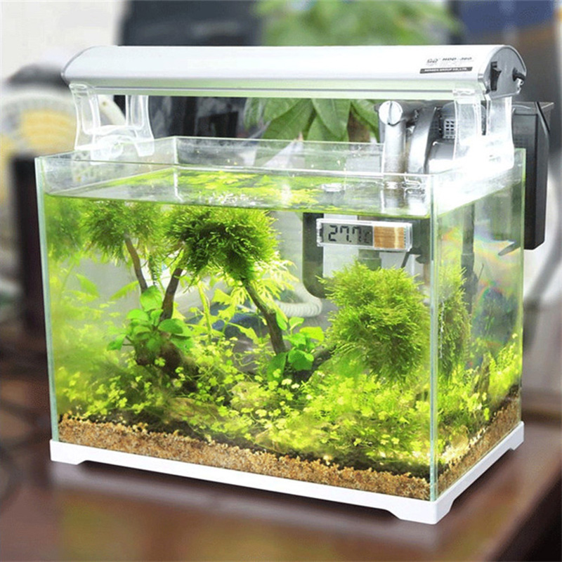 Termometro per acquario imperm - Aquarium Planted Seeds recensione e prezzo