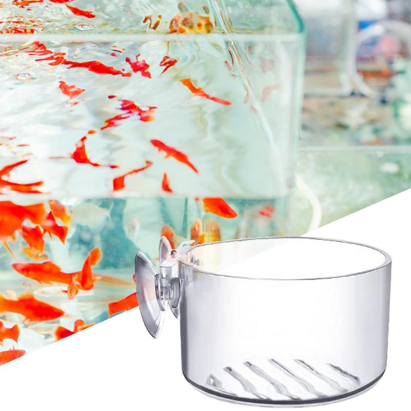 Tazza cilindrica in vetro per  - Aquarium Planted Seeds recensione e prezzo