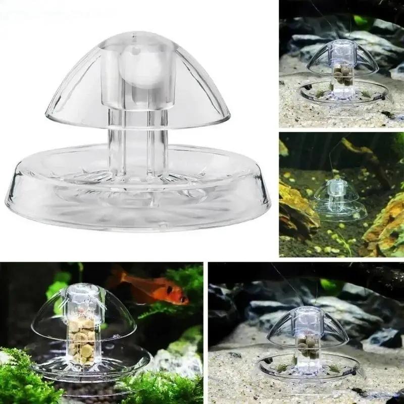 Nuova Trappola per Lumache in  - Aquarium Planted Fish Tank recensione e prezzo