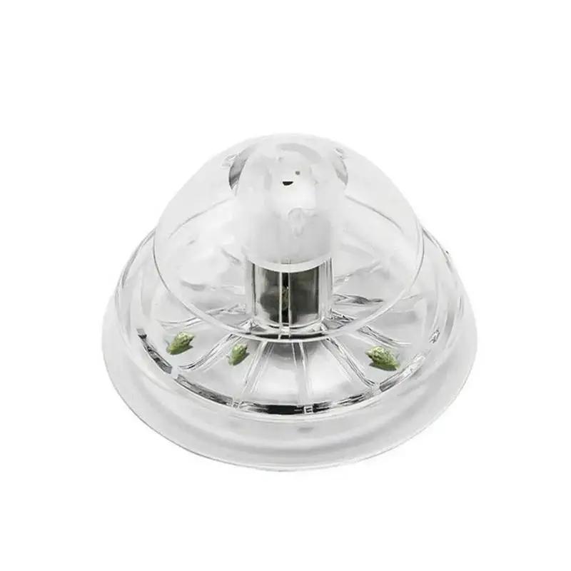 Nuova Trappola per Lumache in  - Aquarium Planted Fish Tank recensione e prezzo