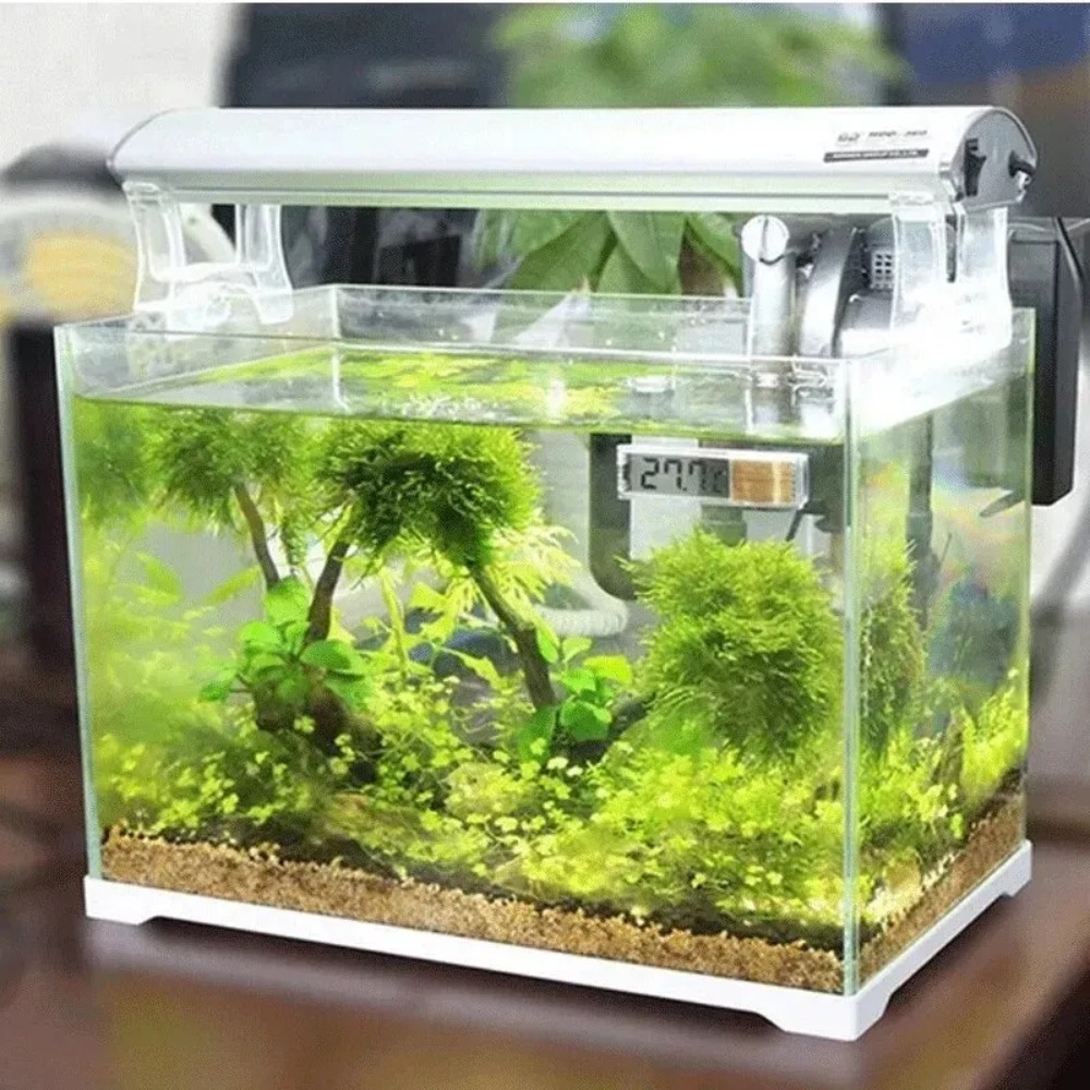 1PC Termometro per acquario LC - Planted Aquarium Temperature recensione e prezzo