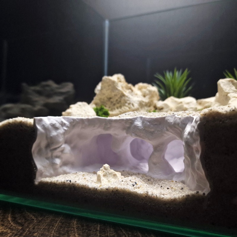 3D Stampato Biforcuta Grotta A - Aquarium Plant Root Tabs recensione e prezzo
