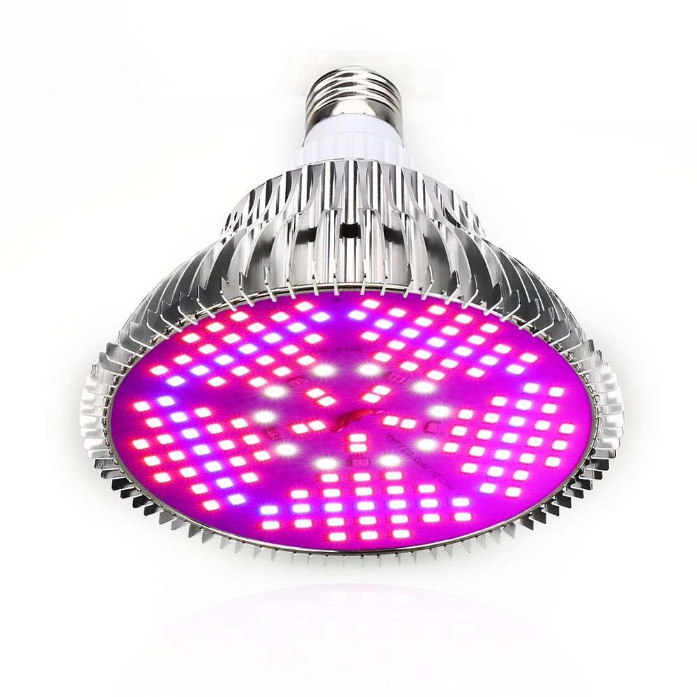 100W spettro completo LED colt - Aquarium Planted Seeds recensione e prezzo
