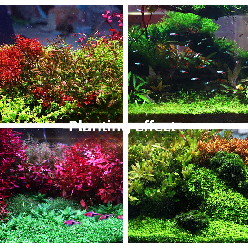 SYSENCIAGA Substrato per acqua - Aquarium Plant Fertilizer recensione e prezzo