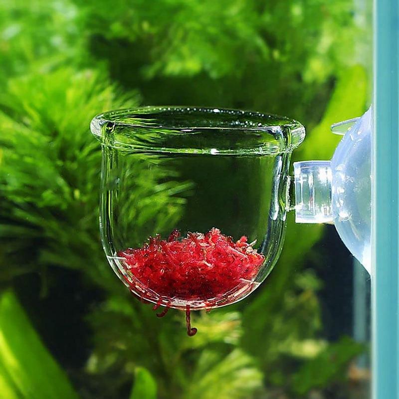 Tazza per piante acquatiche in - Aquarium Planted Seeds recensione e prezzo