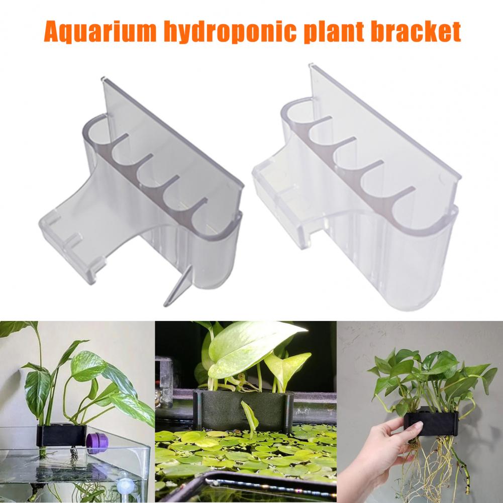 4.5/6.5 centimetri Acquario Pi - Aquarium Planted Fish Tank recensione e prezzo