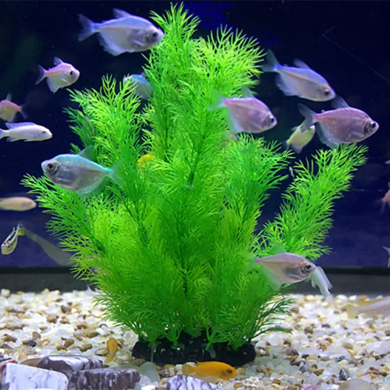 Piante artificiali per decoraz - Aquarium Planted Substrate recensione e prezzo