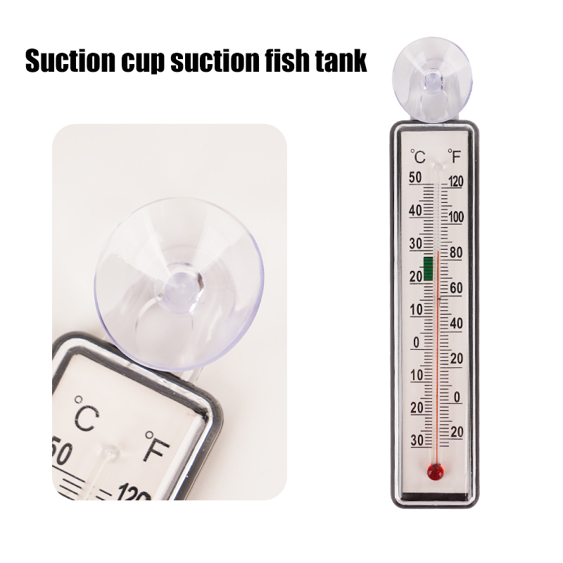 Termometro Digitale per Acquar - Planted Aquarium Temperature recensione e prezzo
