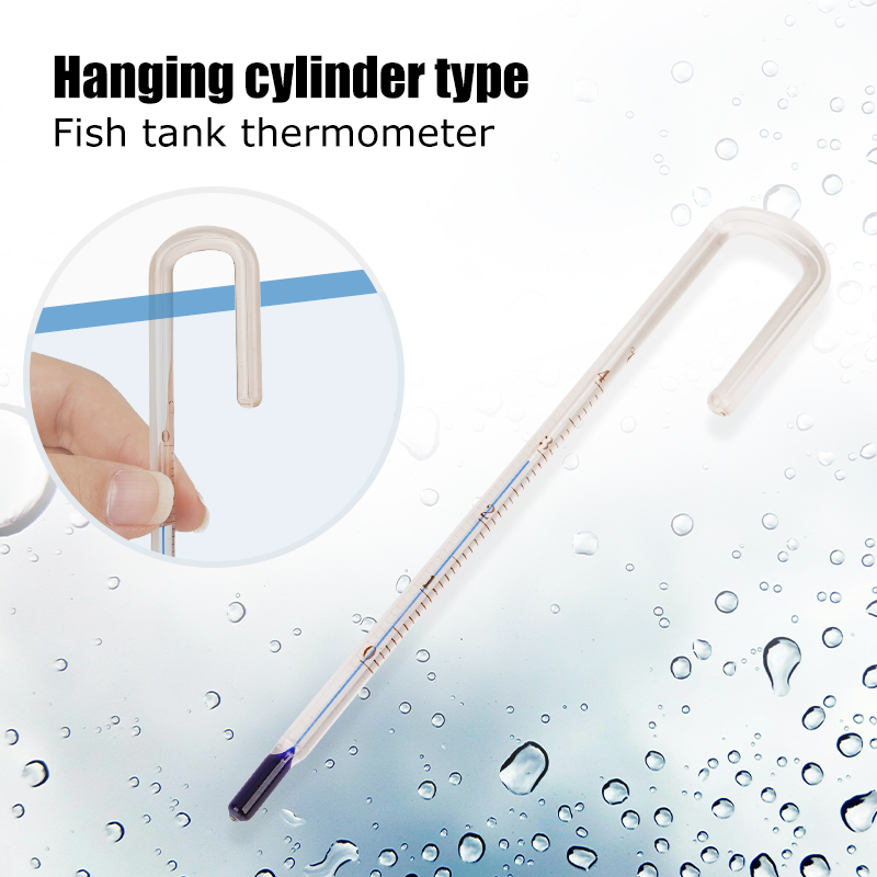 Termometro Digitale per Acquar - Planted Aquarium Temperature recensione e prezzo