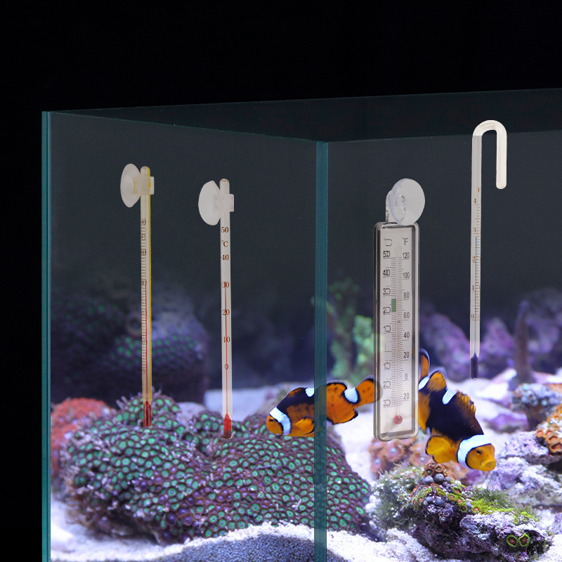 Termometro Digitale per Acquar - Planted Aquarium Temperature recensione e prezzo