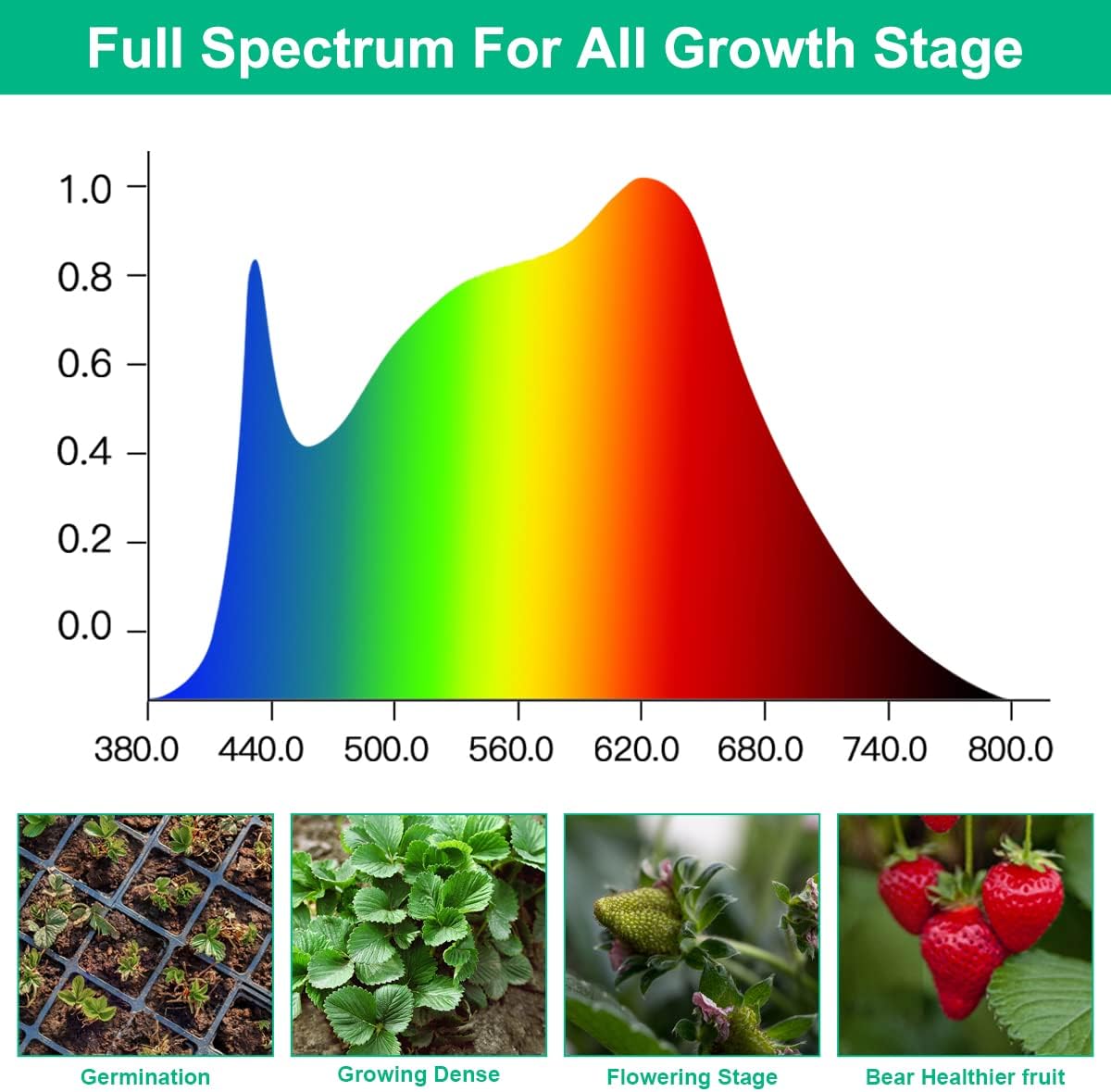 Lampade per coltivazione a LED - Aquarium Planted Seeds recensione e prezzo