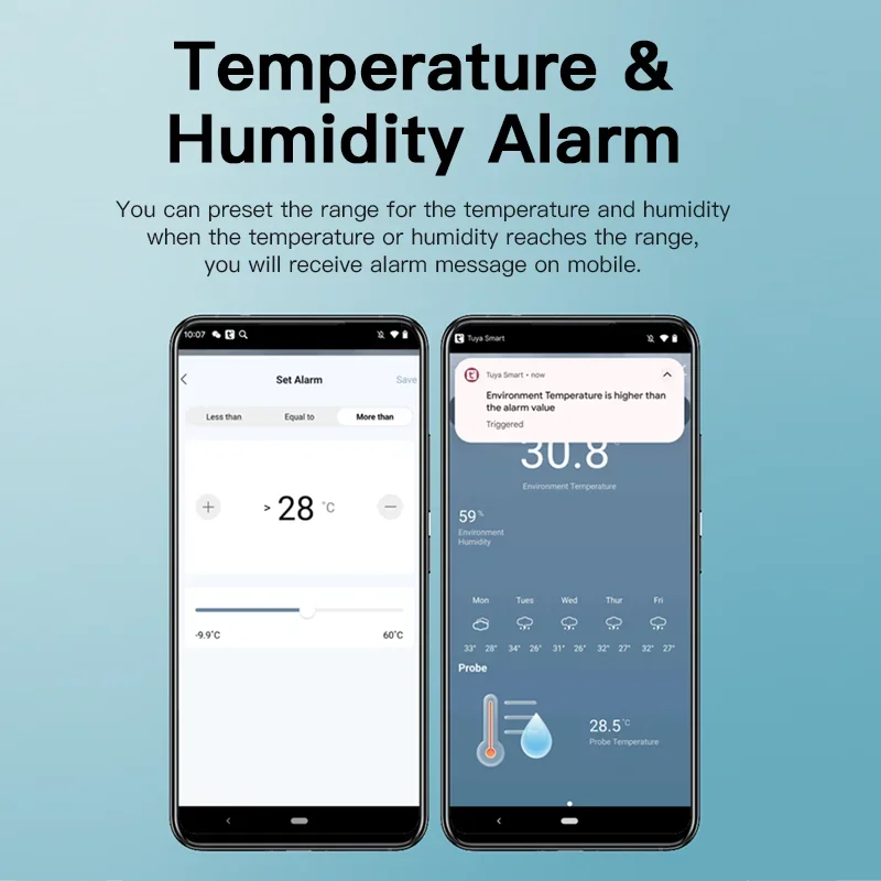 Sensore di umidità della tempe - Planted Aquarium Temperature recensione e prezzo