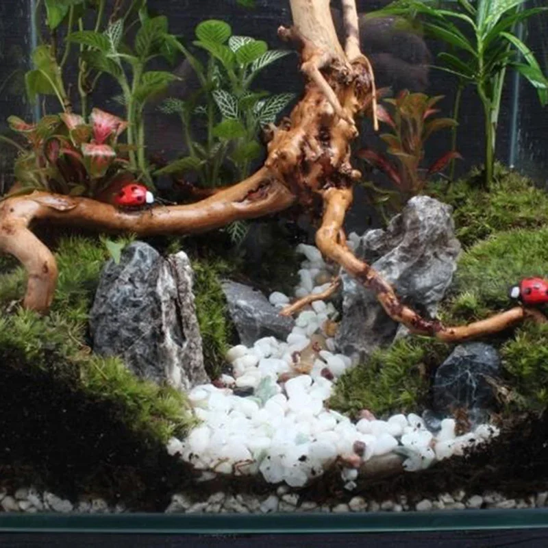 Tronco d'Albero Naturale per A - Aquarium Plant Root Tabs recensione e prezzo
