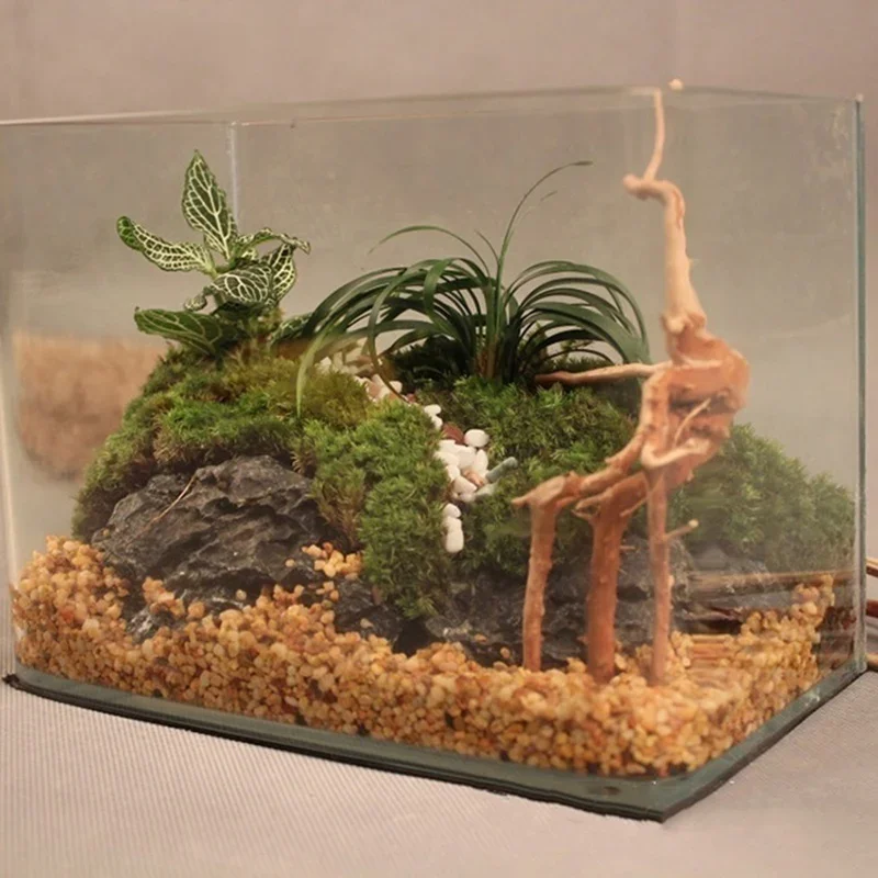 Tronco d'Albero Naturale per A - Aquarium Plant Root Tabs recensione e prezzo