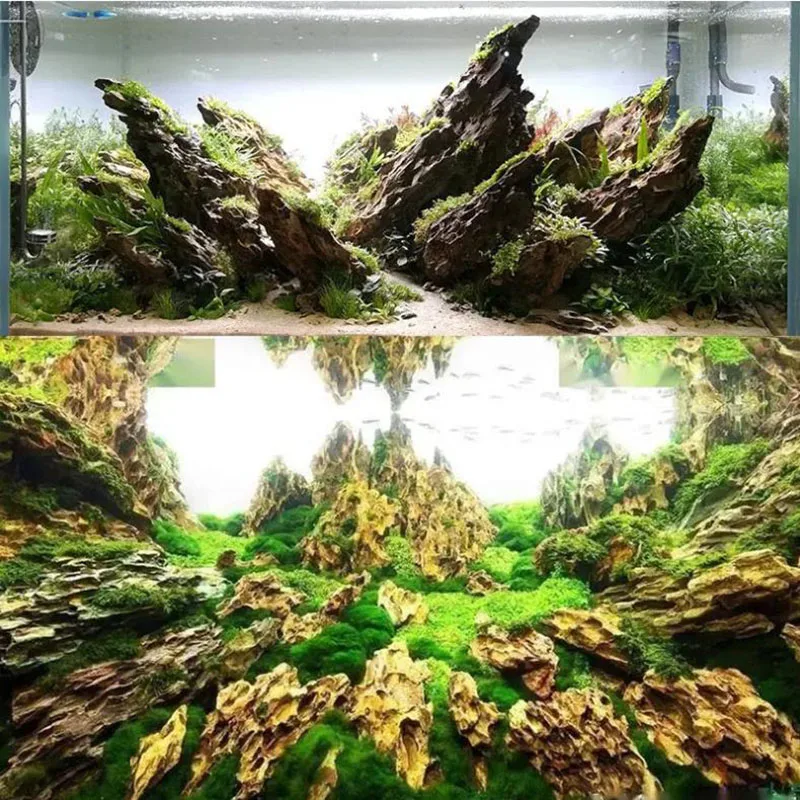 250g 500g 1000g Naturale Acqua - Aquarium Planted Seeds recensione e prezzo