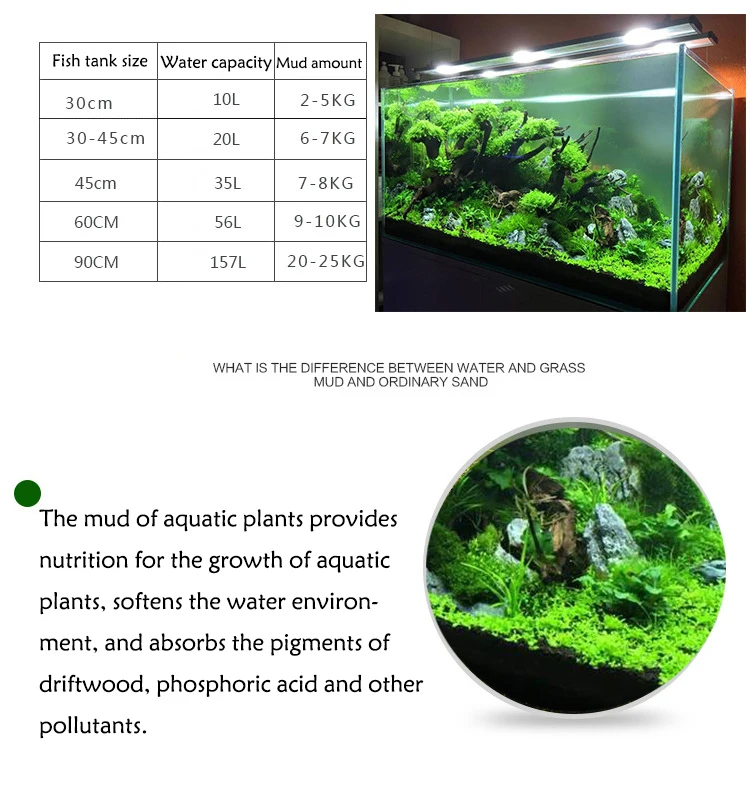 Serbatoio di pesce acqua erba  - Aquarium Planted Seeds recensione e prezzo