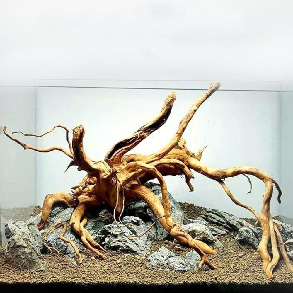 Tronco d'albero naturale decor - Aquarium Plant Root Tabs recensione e prezzo