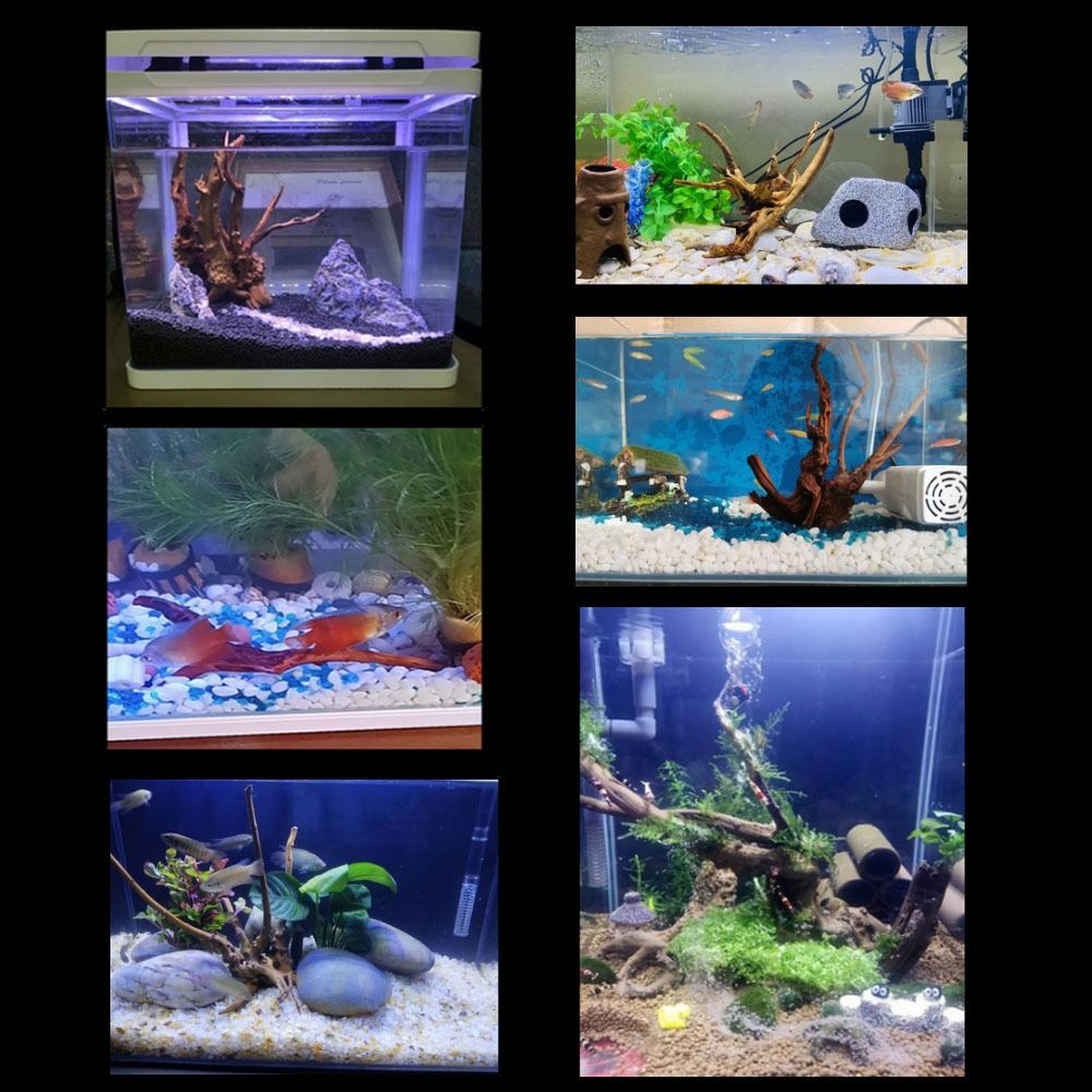 Tronco d'albero naturale decor - Aquarium Plant Root Tabs recensione e prezzo