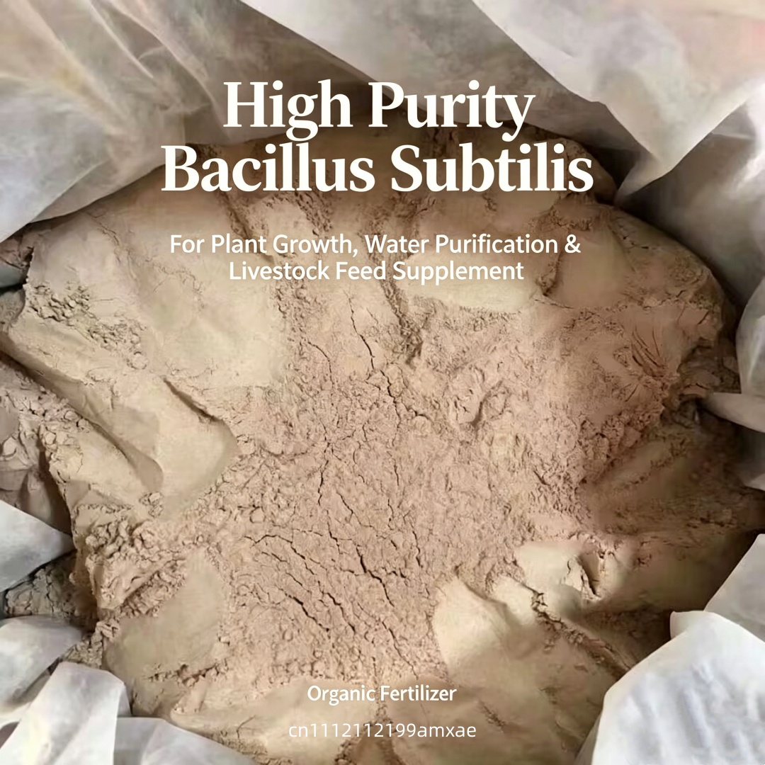 Polvere di Bacillus Subtilis a - Aquarium Plant Fertilizer recensione e prezzo
