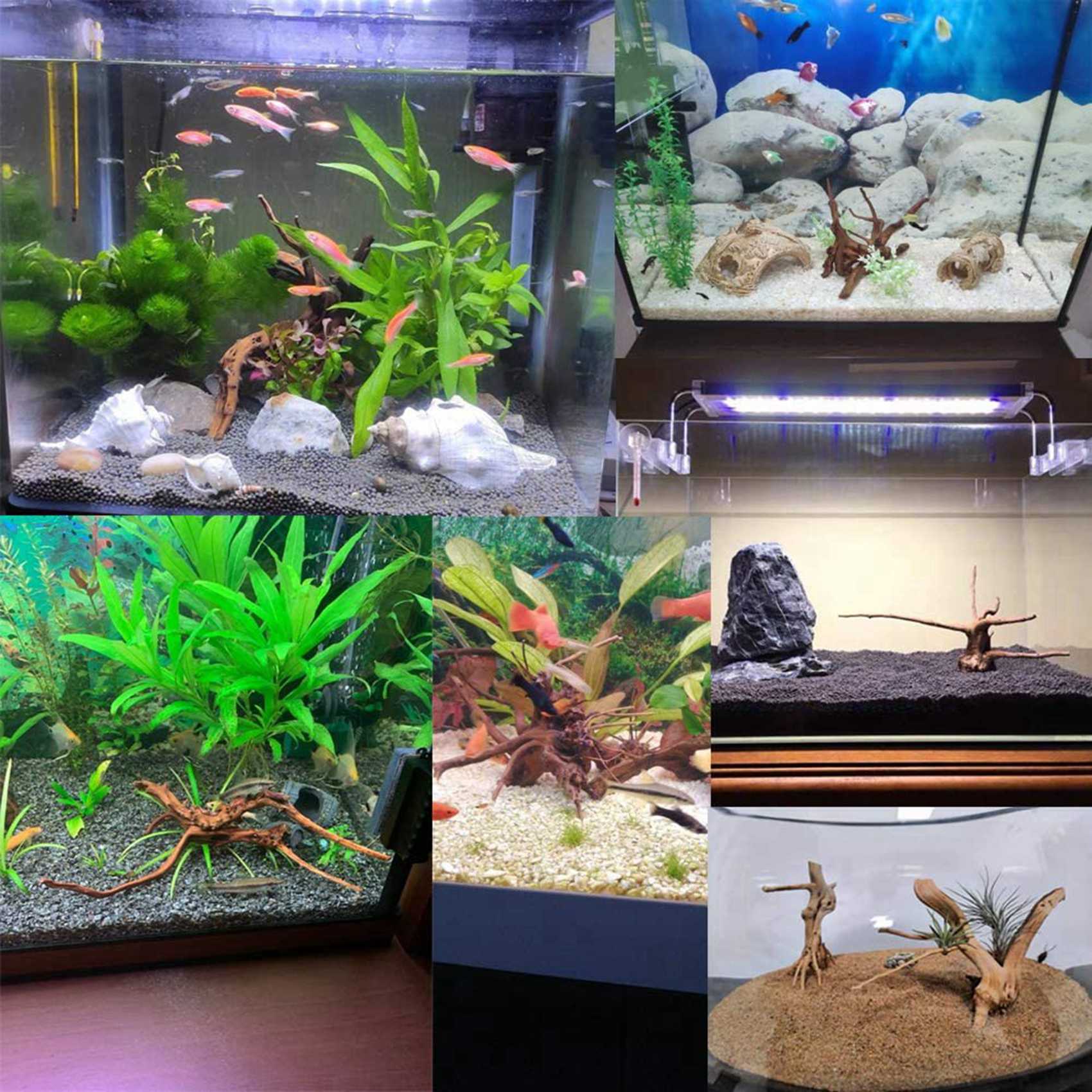 Vendita calda-Mini legni alla  - Aquarium Plant Root Tabs recensione e prezzo