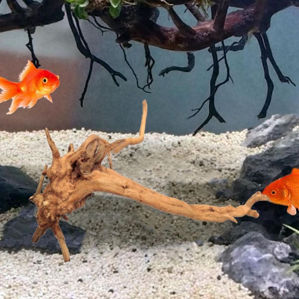 Legno Naturale per Acquario 20 - Aquarium Planted Substrate recensione e prezzo