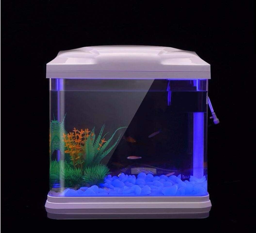 Rocce per acquari che si illum - Aquarium Planted Fish Tank recensione e prezzo