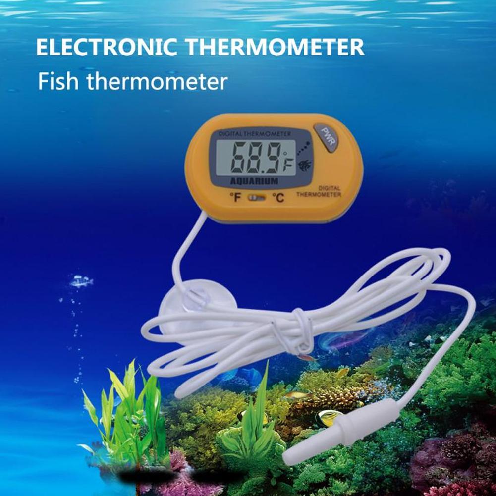Termometro per acquario Termom - Planted Aquarium Temperature recensione e prezzo