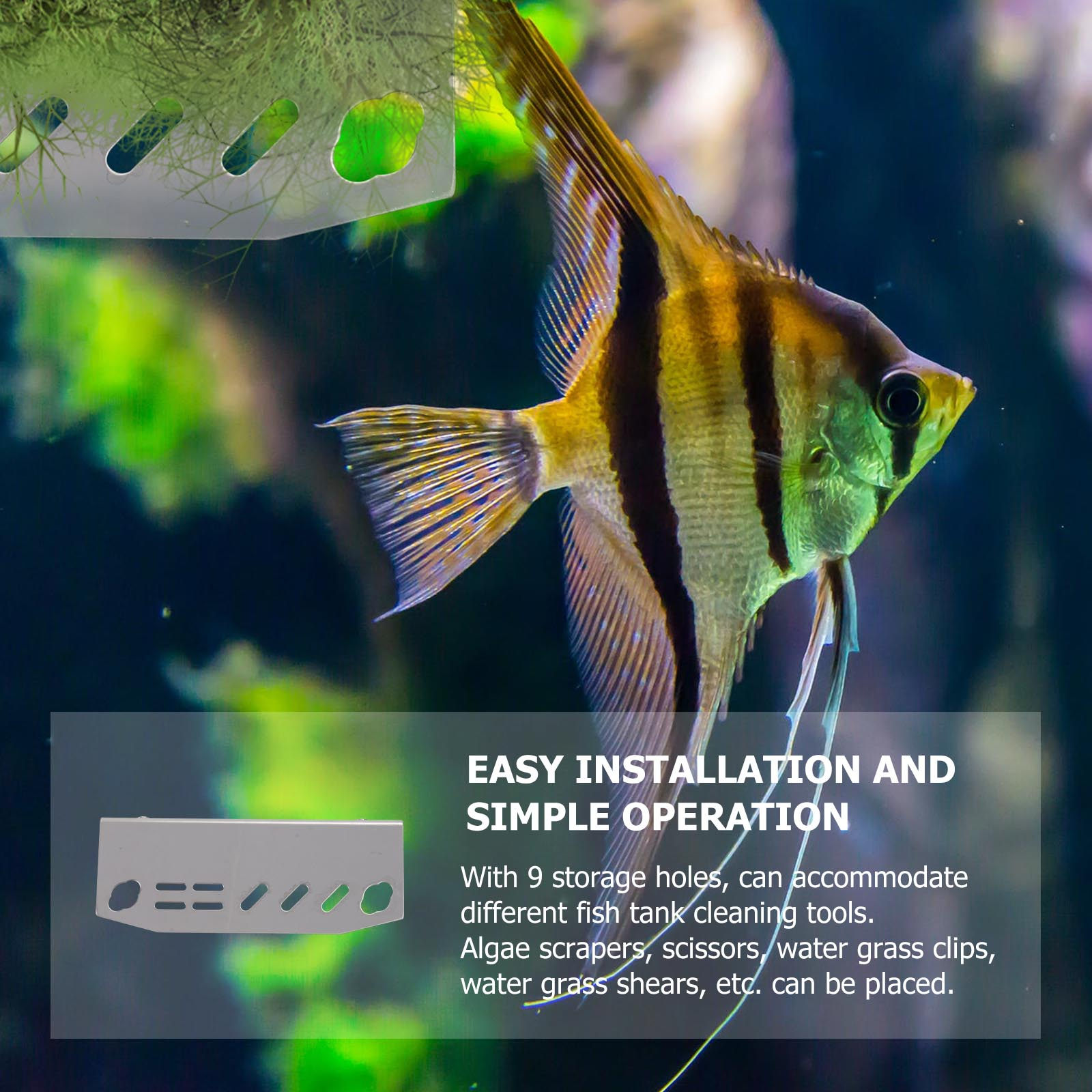 1 Pezzo Porta Attrezzi per Acq - Aquarium Planted Fish Tank recensione e prezzo