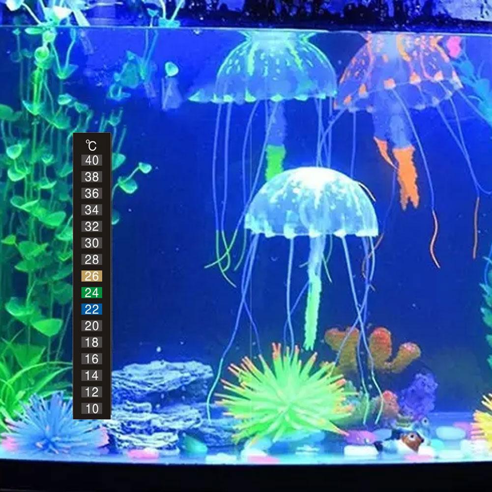 Termometro Adesivo per Acquari - Planted Aquarium Temperature recensione e prezzo