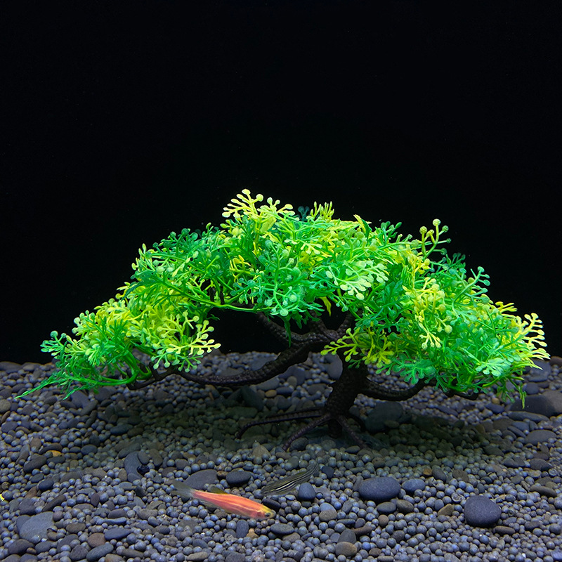 Albero bonsai dell'acquario, p - Aquarium Planted Seeds recensione e prezzo