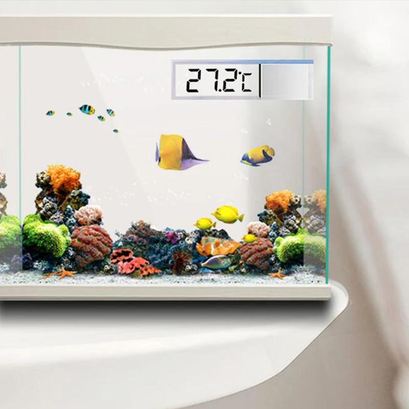 Termometro per acquario imperm - Aquarium Planted Seeds recensione e prezzo