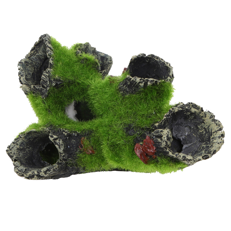 Allevamento in resina Nasconde - Aquarium Planted Seeds recensione e prezzo