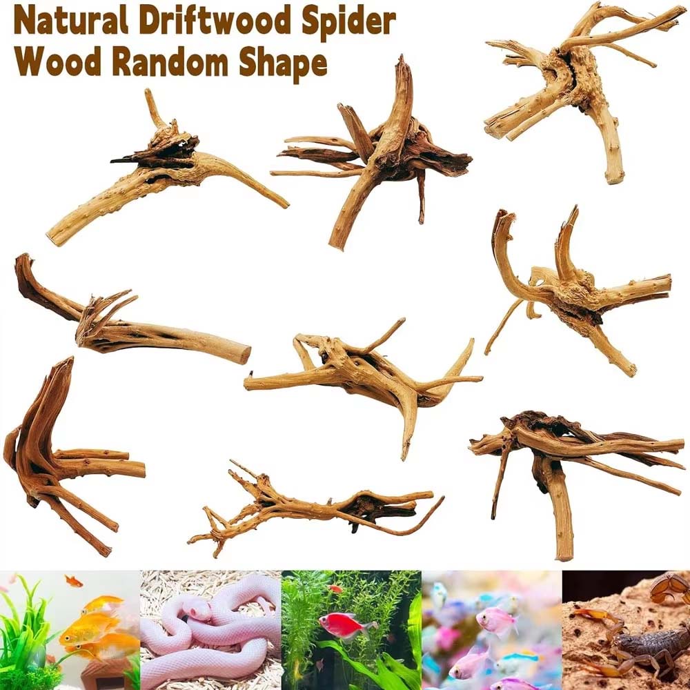 1 Pezzo di Legno Naturale per  - Aquarium Plant Root Tabs recensione e prezzo