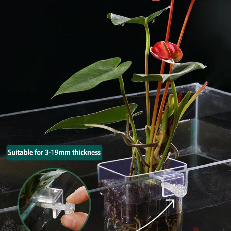 Multifunzionale Fish Aquarium  - Aquarium Planted Fish Tank recensione e prezzo