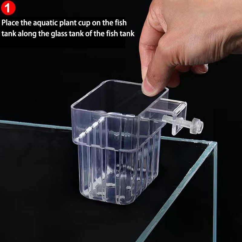 Multifunzionale Fish Aquarium  - Aquarium Planted Fish Tank recensione e prezzo